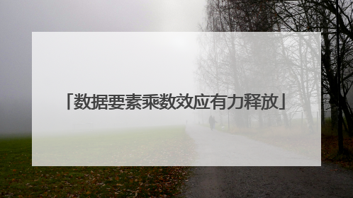 数据要素乘数效应有力释放