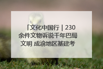 文化中国行｜230余件文物诉说千年巴蜀文明 成渝地区基建考古成果展开展