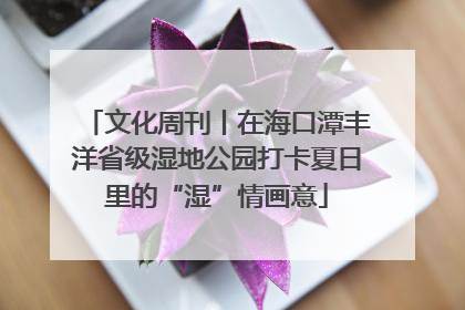 文化周刊丨在海口潭丰洋省级湿地公园打卡夏日里的“湿”情画意