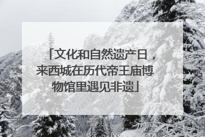 文化和自然遗产日，来西城在历代帝王庙博物馆里遇见非遗