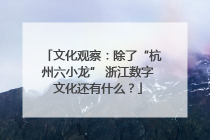 文化观察：除了“杭州六小龙” 浙江数字文化还有什么？