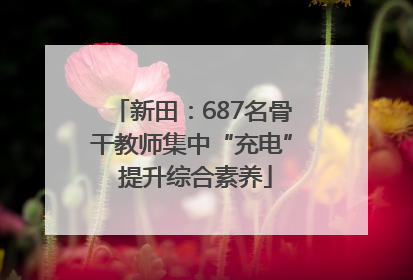新田：687名骨干教师集中“充电” 提升综合素养
