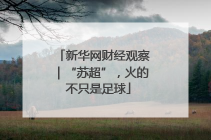 新华网财经观察｜“苏超”，火的不只是足球