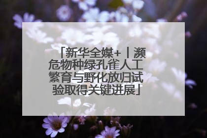 新华全媒+丨濒危物种绿孔雀人工繁育与野化放归试验取得关键进展