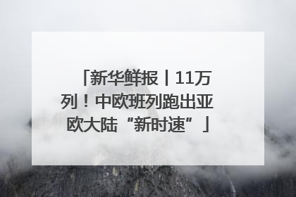 新华鲜报丨11万列！中欧班列跑出亚欧大陆“新时速”