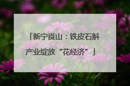 新宁崀山：铁皮石斛产业绽放“花经济”