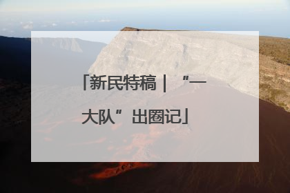 新民特稿｜“一大队”出圈记