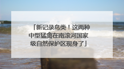 新记录鸟类！这两种中型猛禽在南滚河国家级自然保护区现身了