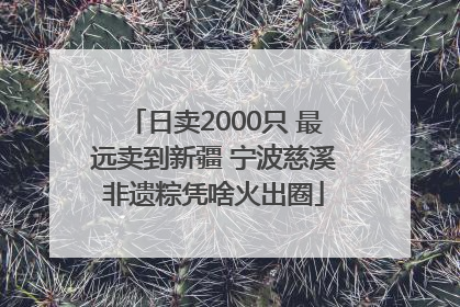 日卖2000只 最远卖到新疆 宁波慈溪非遗粽凭啥火出圈