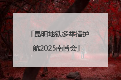 昆明地铁多举措护航2025南博会