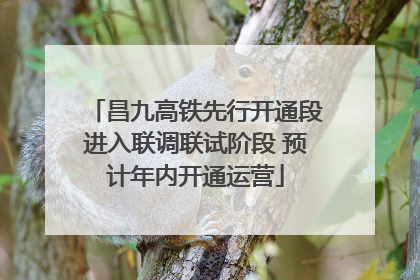 昌九高铁先行开通段进入联调联试阶段 预计年内开通运营