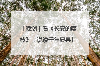 晚潮｜看《长安的荔枝》，说说千年夏果