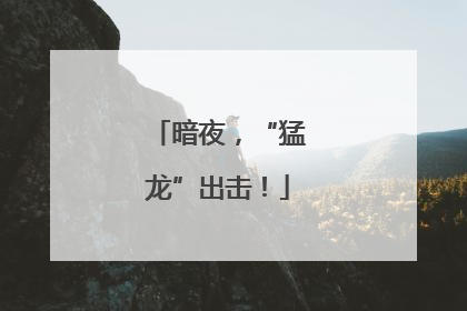 暗夜，“猛龙”出击！