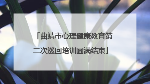 曲靖市心理健康教育第二次巡回培训圆满结束