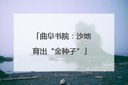 曲阜书院：沙地育出“金种子”