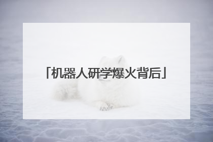 机器人研学爆火背后