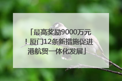 最高奖励9000万元！厦门12条新措施促进港航贸一体化发展