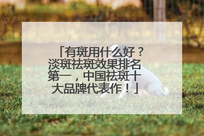 有斑用什么好？淡斑祛斑效果排名第一，中国祛斑十大品牌代表作！