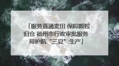 服务直通麦田 保障颗粒归仓 德州市行政审批服务局护航“三夏”生产
