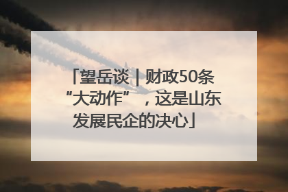 望岳谈｜财政50条“大动作”，这是山东发展民企的决心