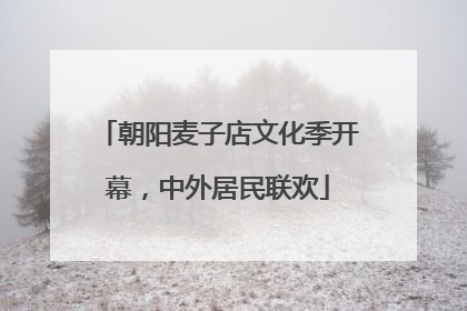 朝阳麦子店文化季开幕，中外居民联欢