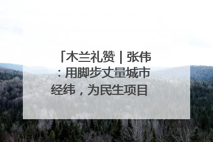 木兰礼赞｜张伟：用脚步丈量城市经纬，为民生项目按下“加速键”