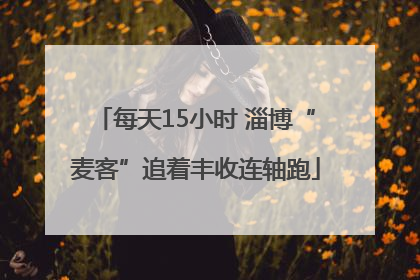 每天15小时 淄博“麦客”追着丰收连轴跑
