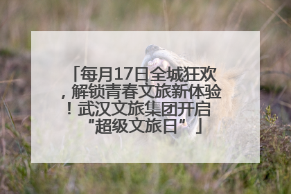 每月17日全城狂欢，解锁青春文旅新体验！武汉文旅集团开启 “超级文旅日”
