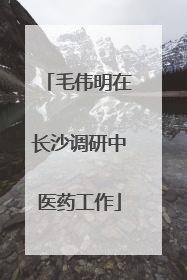 毛伟明在长沙调研中医药工作