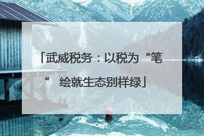 武威税务：以税为“笔” 绘就生态别样绿