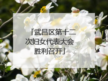武昌区第十二次妇女代表大会胜利召开