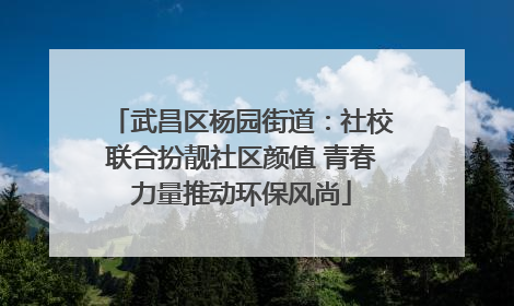 武昌区杨园街道：社校联合扮靓社区颜值 青春力量推动环保风尚