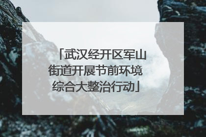武汉经开区军山街道开展节前环境综合大整治行动