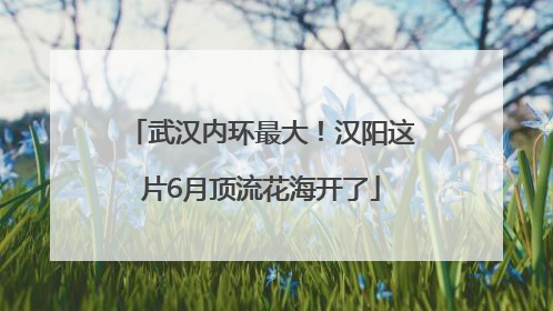 武汉内环最大！汉阳这片6月顶流花海开了