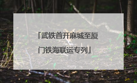 武铁首开麻城至厦门铁海联运专列