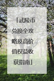 武陵币兑换全攻略及高价值权益收获指南