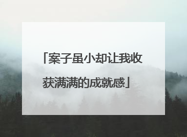 案子虽小却让我收获满满的成就感