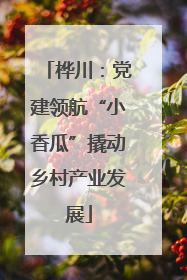 桦川：党建领航“小香瓜”撬动乡村产业发展