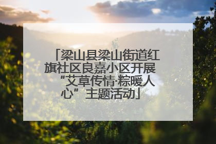 梁山县梁山街道红旗社区良嘉小区开展“艾草传情·粽暖人心”主题活动
