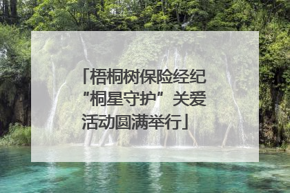 梧桐树保险经纪“桐星守护”关爱活动圆满举行