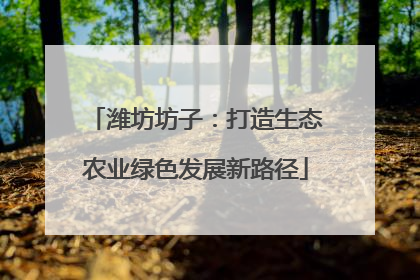 潍坊坊子：打造生态农业绿色发展新路径