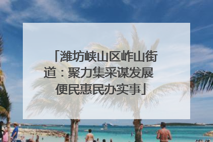 潍坊峡山区岞山街道：聚力集采谋发展 便民惠民办实事