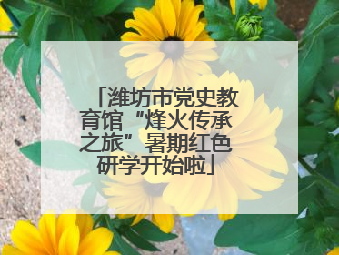 潍坊市党史教育馆“烽火传承之旅”暑期红色研学开始啦
