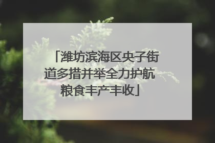 潍坊滨海区央子街道多措并举全力护航粮食丰产丰收