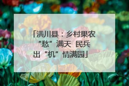 潢川县：乡村果农“愁”满天  民兵出“机”情满园