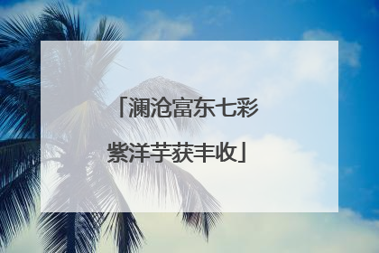 澜沧富东七彩紫洋芋获丰收