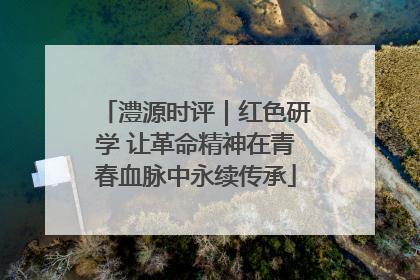 澧源时评｜红色研学 让革命精神在青春血脉中永续传承