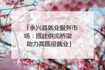永兴县就业服务市场：搭建供需桥梁 助力高质量就业