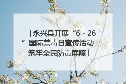 永兴县开展“6・26”国际禁毒日宣传活动 筑牢全民防毒屏障