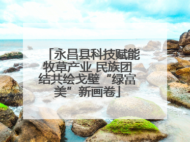 永昌县科技赋能牧草产业 民族团结共绘戈壁“绿富美”新画卷
